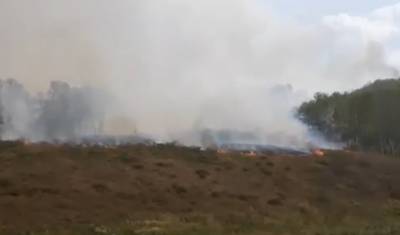 В районе Башкирии уже несколько продолжают гореть трава и леса
