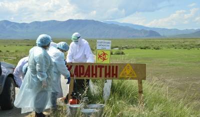 В Дагестане уже второй человек за год заразился сибирской язвой