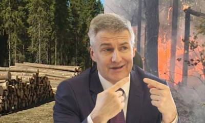 «Эти все пасквили»: губернатор Карелии встал на защиту арендаторов лесов, которых заподозрили в поджогах