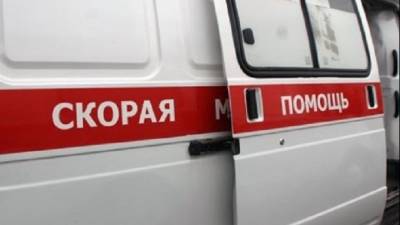 Грузовик сбил двух малолетних детей в Ленобласти