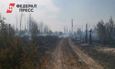 Крупный пожар в Мордовии тушат специалисты из двух регионов