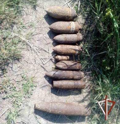 В Щучьем на берегу озера нашли 14 артиллерийских снарядов. Заявление Росгвардии