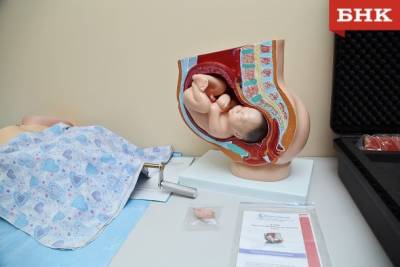 Когда можно делать прививку беременным жительницам Коми - bnkomi.ru - Россия - респ. Коми