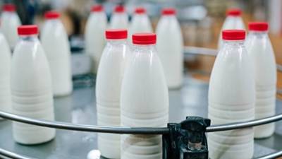 Предприятия Подмосковья произвели около 370 тысяч тонн молока с начала года