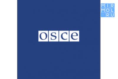 Российские выборы не посетят наблюдатели от ОБСЕ