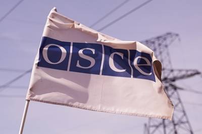 ОБСЕ объяснила просьбу отправить 500 наблюдателей на выборы в России - lenta.ru - Россия - США