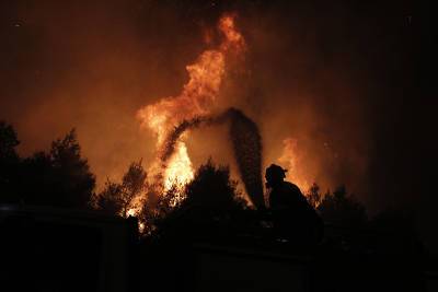 В Греции борются с 56 природными пожарами