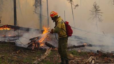 Путин связал масштабы пожаров и паводков в РФ с изменением климата