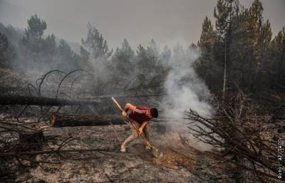 В Турции удалось потушить большинство лесных пожаров
