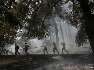 Кабмин одобрил направление в Грецию 100 украинских спасателей для борьбы с лесными пожарами