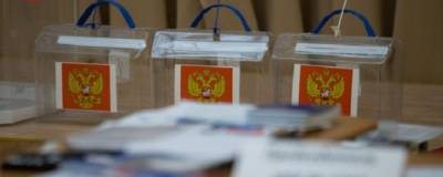Депутат МГД рассказал о защищенности дистанционного голосования