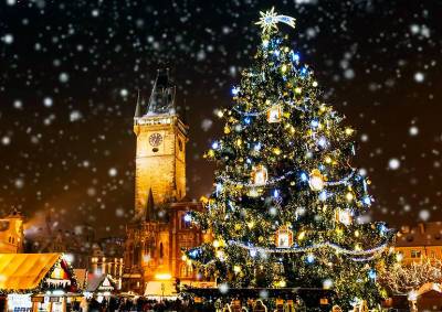 Прага объявила вознаграждение за помощь в поисках рождественской ёлки