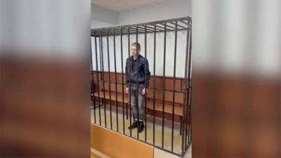 Суд арестовал сделавшего ребенку укол с наркотиками мужчину - iz.ru - Москва - Израиль - район Солнцево