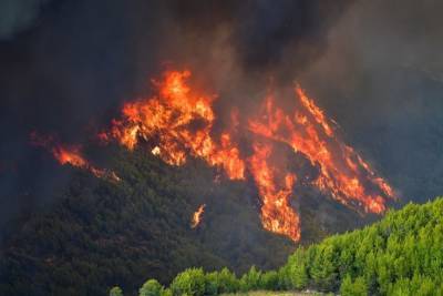 Украина направляет в Грецию спасателей для борьбы с лесными пожарами