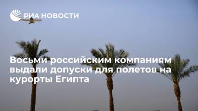 Росавиация выдала восьми российским авиакомпаниям допуски на регулярные рейсы на курорты Египта - ria.ru - Москва - Россия - Египет - с. 9 Августа