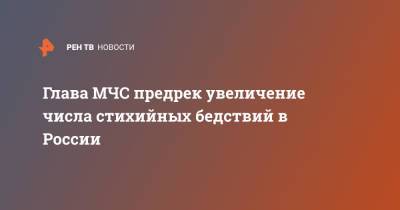 Глава МЧС предрек увеличение числа стихийных бедствий в России