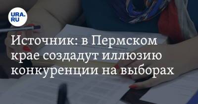 Источник: в Пермском крае создадут иллюзию конкуренции на выборах