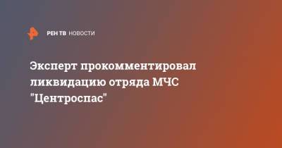 Эксперт прокомментировал ликвидацию отряда МЧС "Центроспас"
