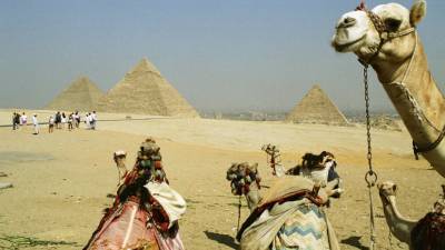 Росавиация выдала восьми авиакомпаниям допуски на полёты в Египет