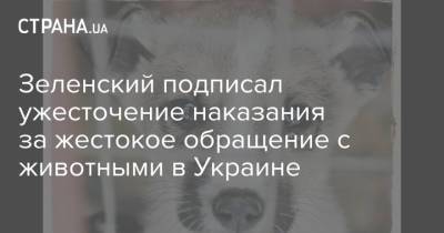 Зеленский подписал ужесточение наказания за жестокое обращение с животными в Украине