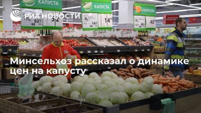 Минсельхоз: отпускные цены на капусту в России сейчас на четыре процента ниже, чем годом ранее