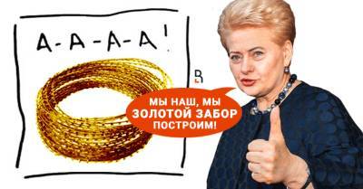 Ну и что, что забор — «золотой»: Грибаускайте описала план спасения Литвы от нелегалов