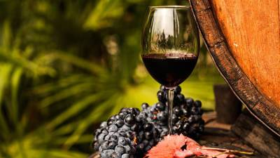 Севастополь вышел в лидеры по производству органического вина