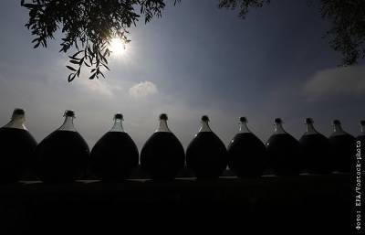 Во Франции 2021 год может оказаться наихудшим по производству вина с 1945 года