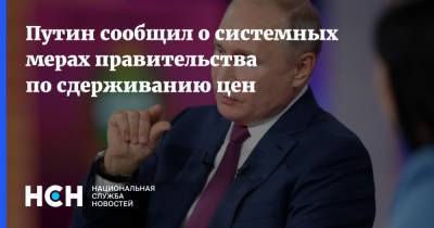 Путин сообщил о системных мерах правительства по сдерживанию цен
