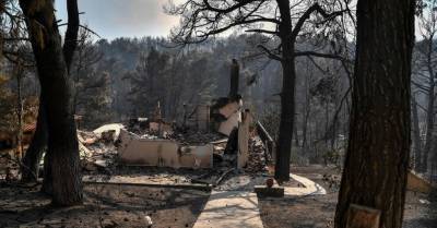 Лесные пожары в Греции: эвакуированы пригороды Афин