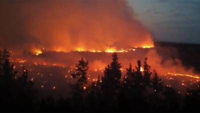 Последствия пожаров в Челябинской области оценил Владимир Путин