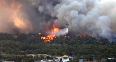 Число лесных пожаров в Греции увеличилось до 56