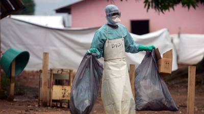 Случай подозрения на смертельную лихорадку Марбург выявлен в Гвинее
