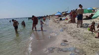 Мертвые медузы на пляже, комары заедают: туристка пожаловалась на отдых в Бердянске