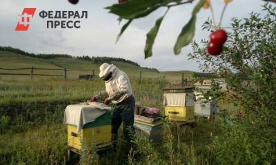 Путин рассказал, какой мед стоит попробовать всем россиянам
