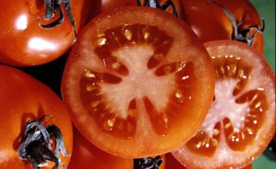 La Vanguardia (Испания): 10 наиболее распространенных ошибок при выборе помидоров