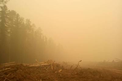 Дожди в выходные немного разгонят дым в Забайкалье от якутских и иркутских пожаров