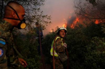 В Греции жертвами природных пожаров стали два человека