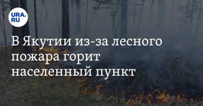 В Якутии из-за лесного пожара горит населенный пункт