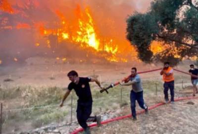 Лесные пожары в Греции вплотную подошли к Афинам: началась срочная эвакуация людей. ФОТО