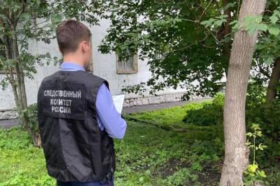 Возбуждено дело о попытке матери убить ребенка в Екатеринбурге