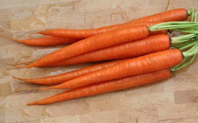 Названы вредные последствия избыточного употребления моркови