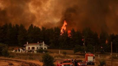 В Греции появились первые жертвы лесных пожаров
