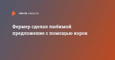 Фермер сделал любимой предложение с помощью коров