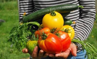 Садовод из Тюмени дал советы по сбору урожая и хранению урожая