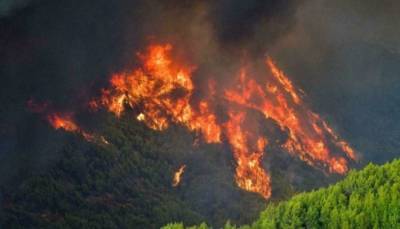Первые жертвы пожаров появились в охваченной пламенем Греции