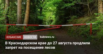 В Краснодарском крае до 27 августа продлили запрет на посещение лесов