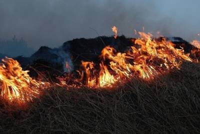 Дым от пожаров достиг почти 400 населенных пунктов Красноярского края