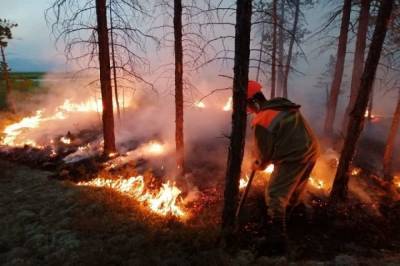 Лесной пожар приблизился к поселку Сангар в Якутии