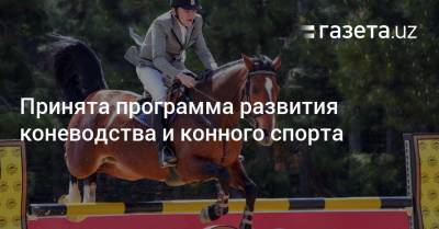 Принята программа развития коневодства и конного спорта